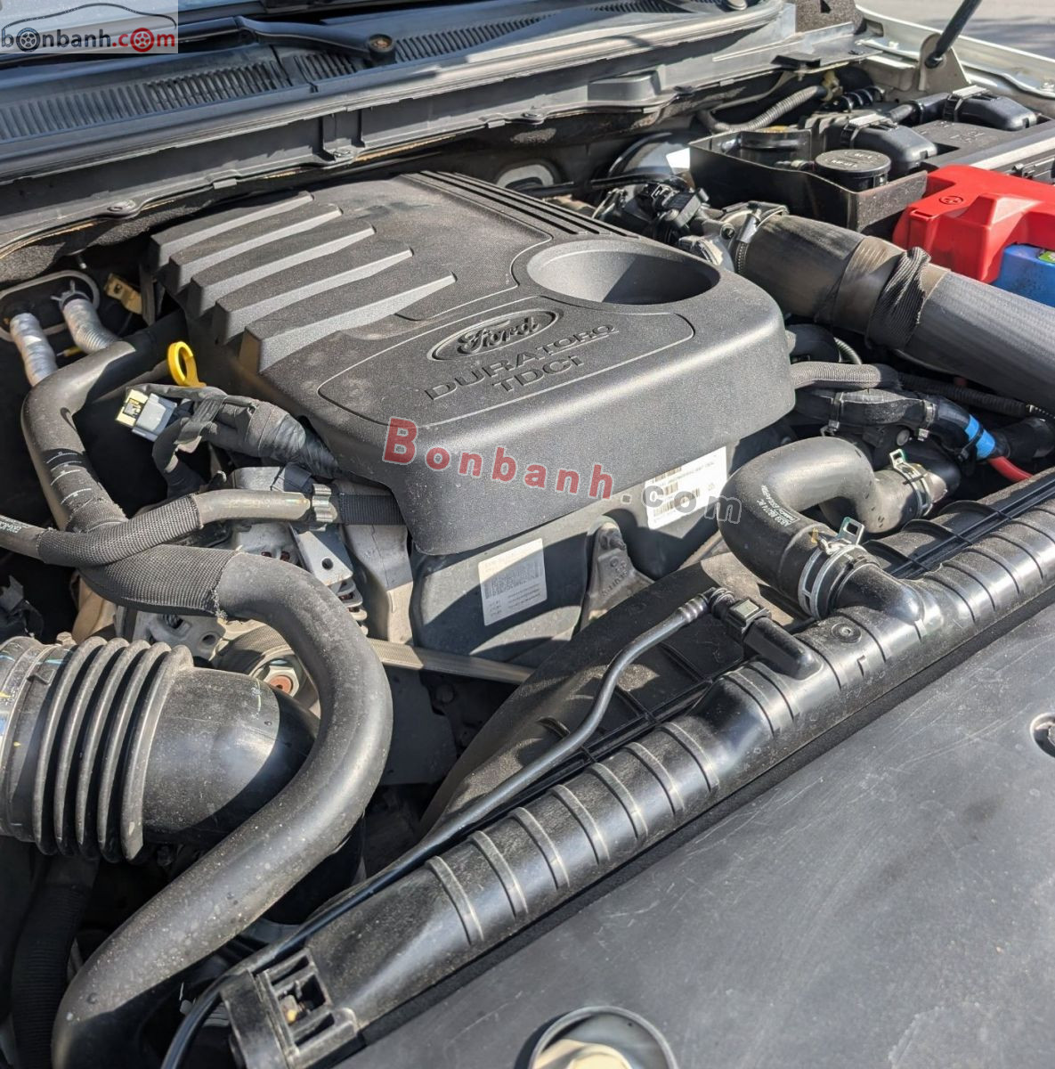 Bán ô tô Ford Ranger Wildtrak 3.2L 4x4 AT - 2017 - xe cũ