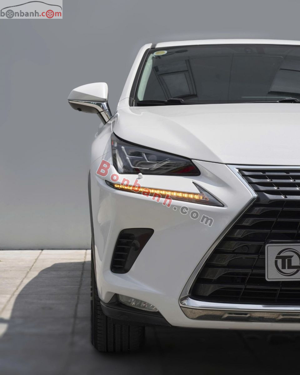 Bán ô tô Lexus NX 300 - 2019 - xe cũ
