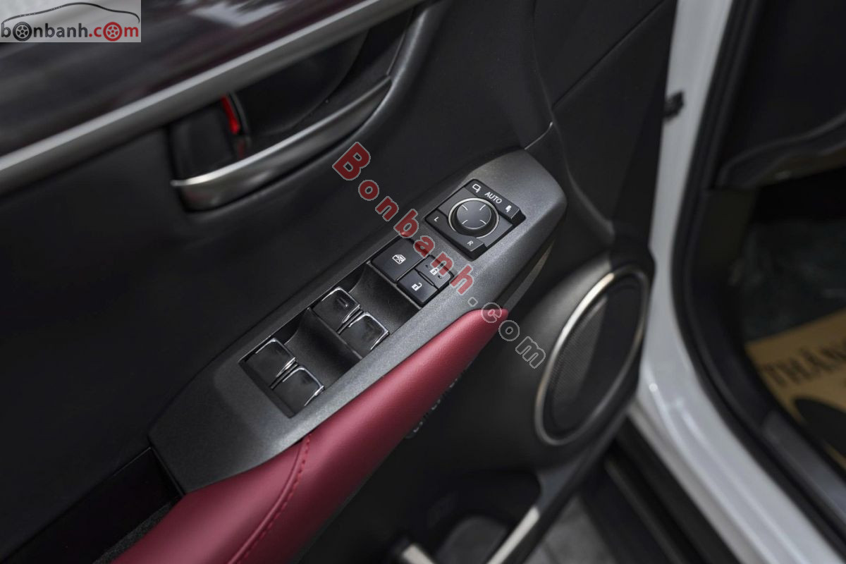 Bán ô tô Lexus NX 300 - 2019 - xe cũ