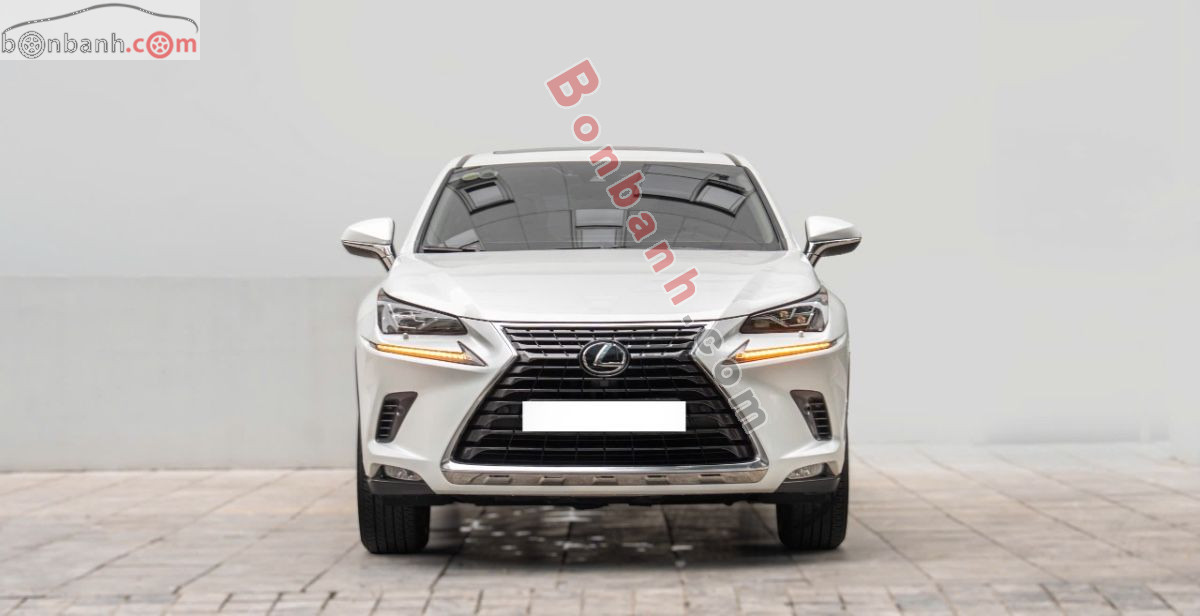 Bán ô tô Lexus NX 300 - 2019 - xe cũ