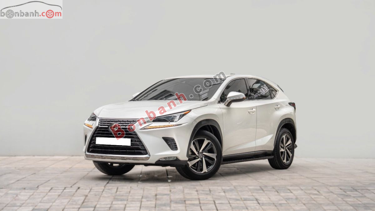 Bán ô tô Lexus NX 300 - 2019 - xe cũ
