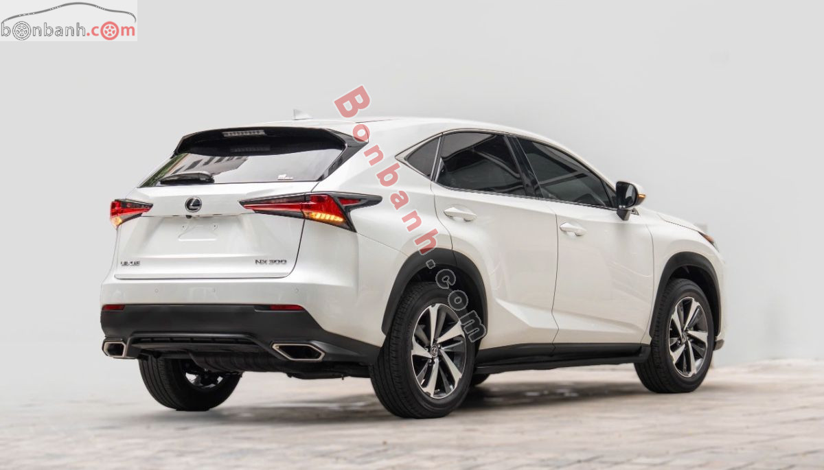 Bán ô tô Lexus NX 300 - 2019 - xe cũ