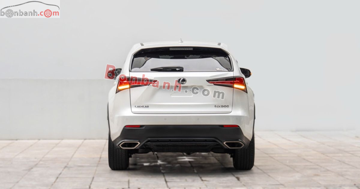Bán ô tô Lexus NX 300 - 2019 - xe cũ