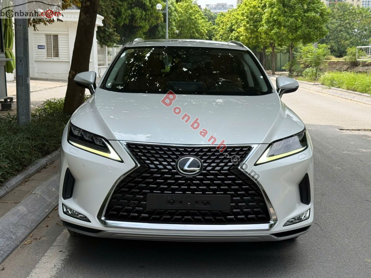 Bán ô tô Lexus RX 300 - 2020 - xe cũ