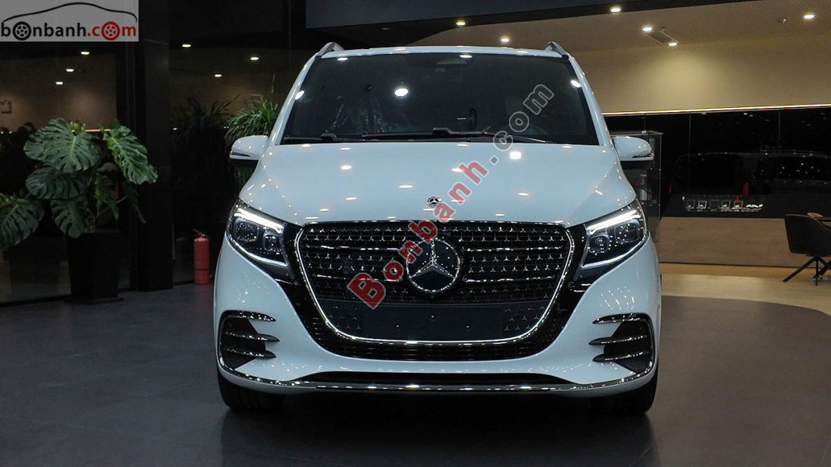 Bán ô tô Mercedes Benz V class V300 AMG - 2026 - xe mới