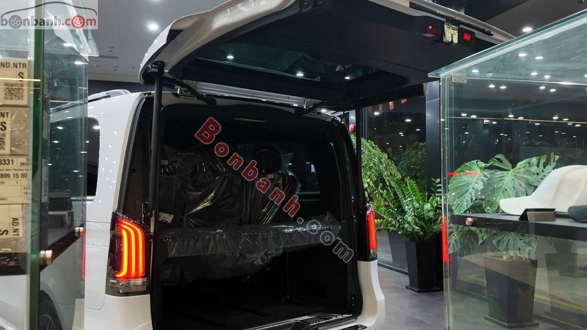 Bán ô tô Mercedes Benz V class V300 AMG - 2026 - xe mới