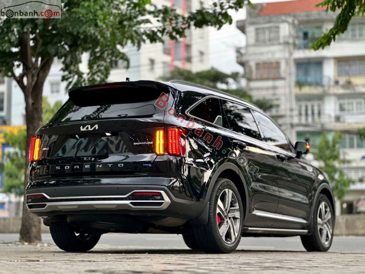 Bán ô tô Kia Sorento Signature 2.2 AT AWD - 2024 - xe cũ