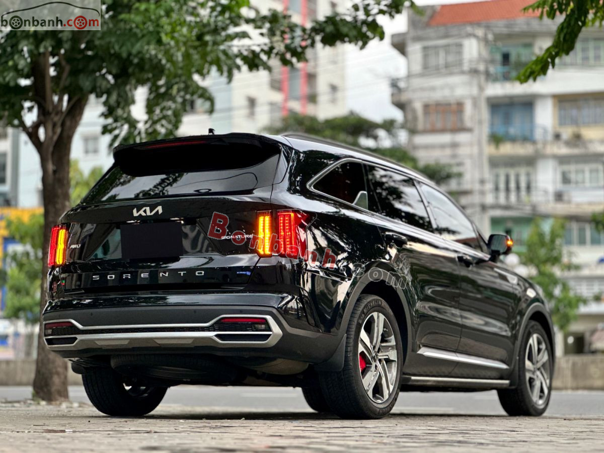 Bán ô tô Kia Sorento Signature 2.2 AT AWD - 2024 - xe cũ
