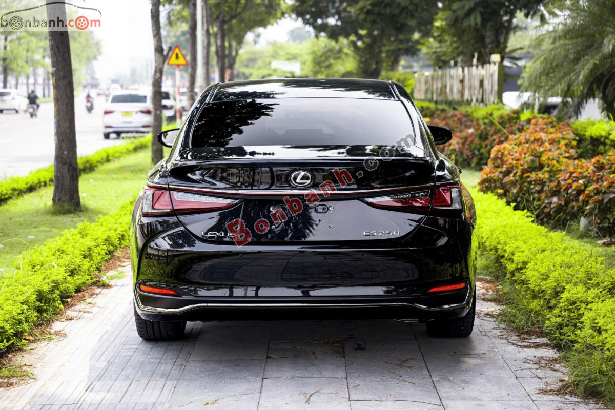 Bán ô tô Lexus ES 250 F Sport - 2023 - xe cũ