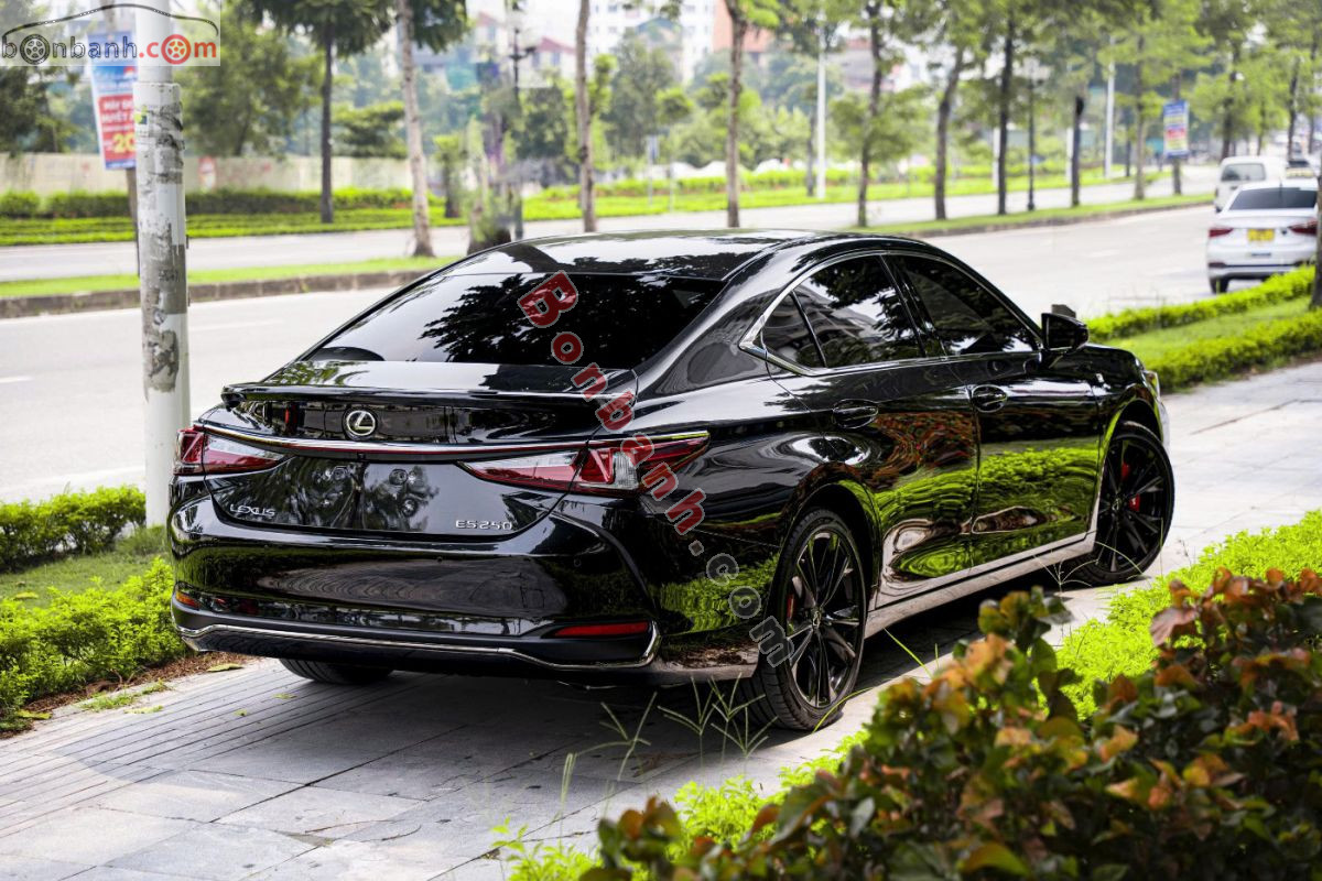 Bán ô tô Lexus ES 250 F Sport - 2023 - xe cũ