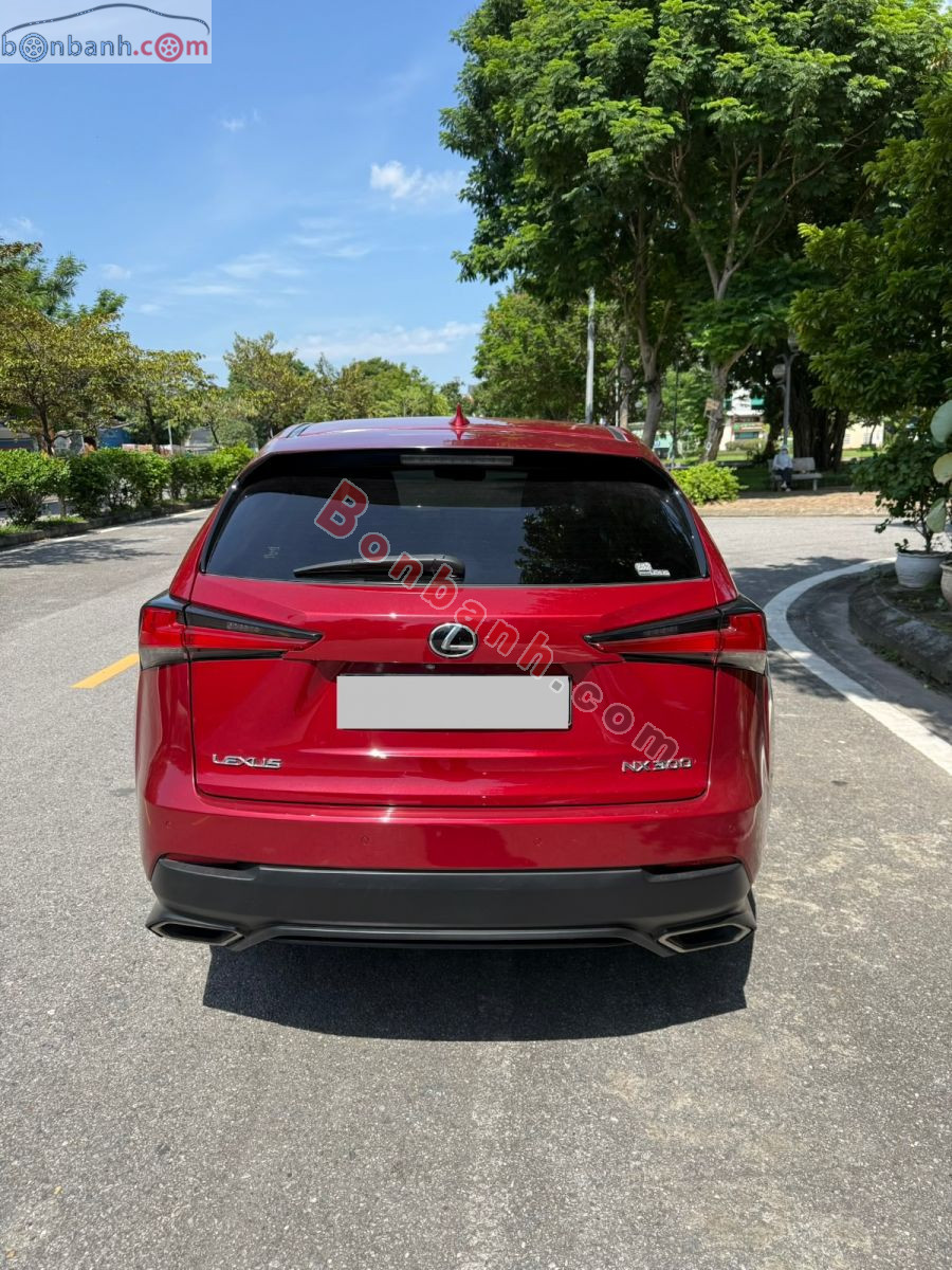 Bán ô tô Lexus NX 300 - 2019 - xe cũ