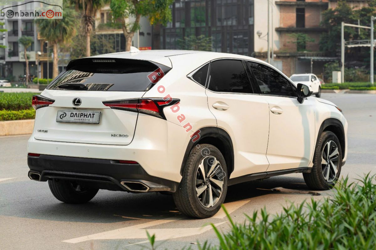 Bán ô tô Lexus NX 300 - 2020 - xe cũ