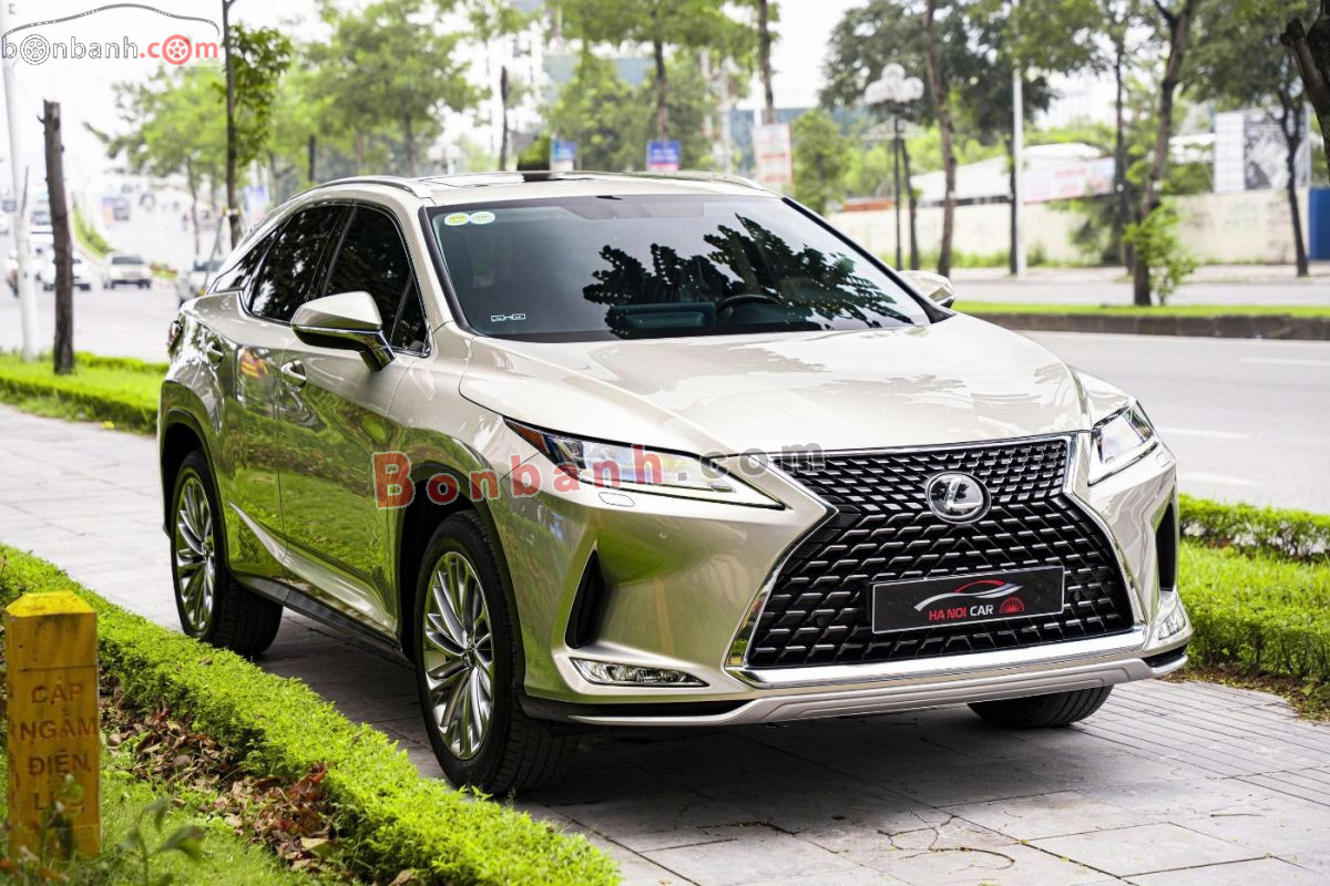 Bán ô tô Lexus RX 300 - 2020 - xe cũ
