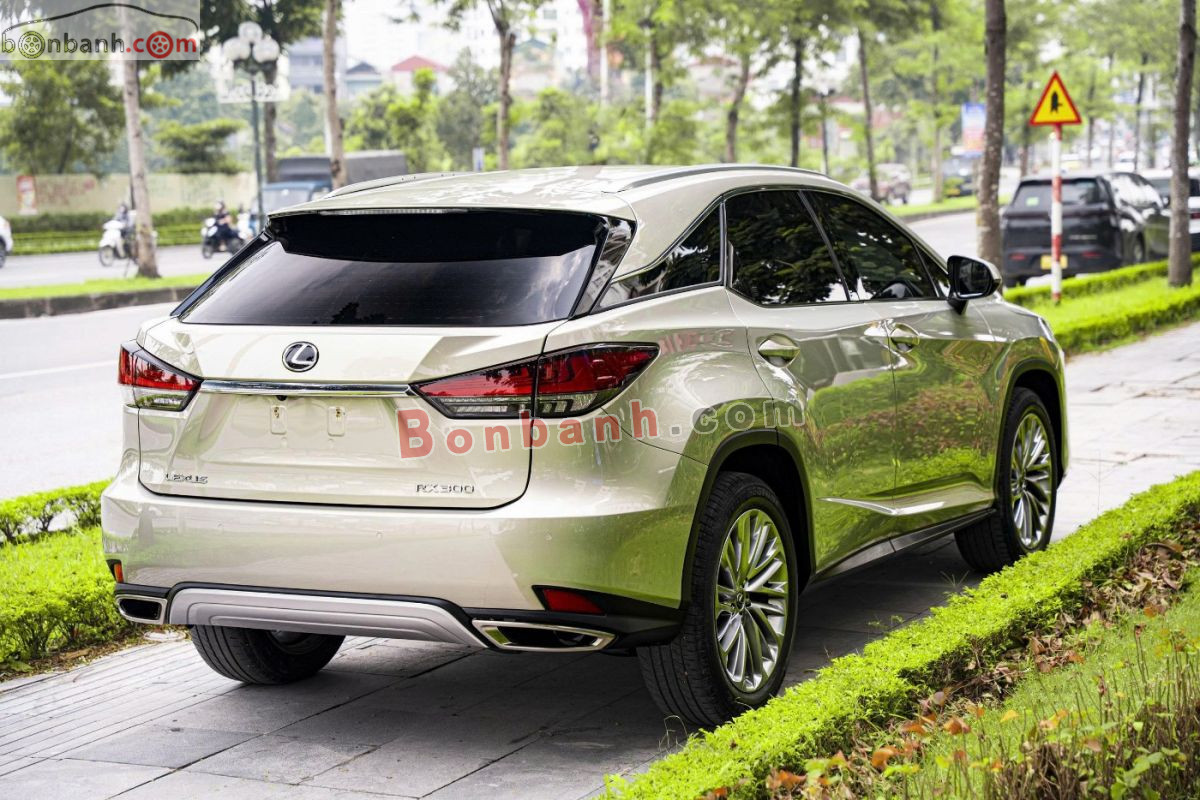 Bán ô tô Lexus RX 300 - 2020 - xe cũ