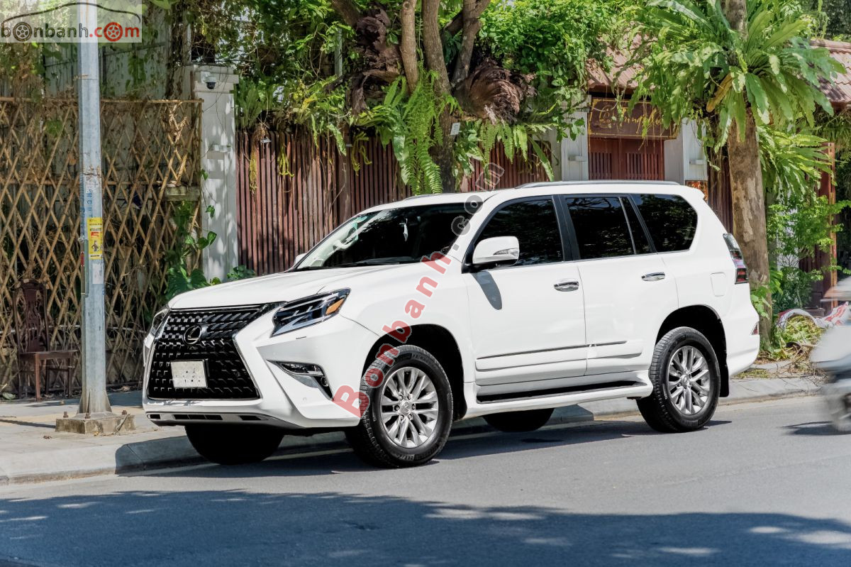 Bán ô tô Lexus GX 460 - 2010 - xe cũ