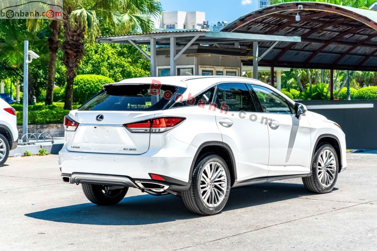 Bán ô tô Lexus RX 300 - 2020 - xe cũ