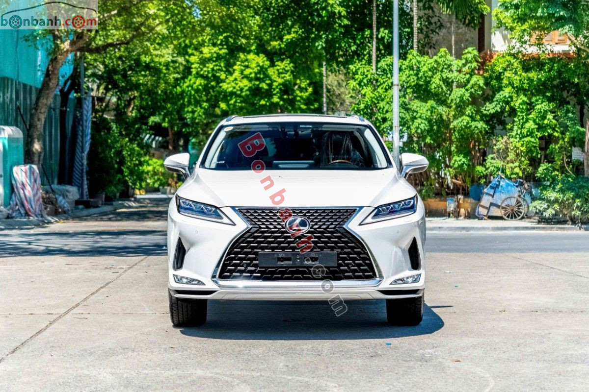 Bán ô tô Lexus RX 300 - 2020 - xe cũ