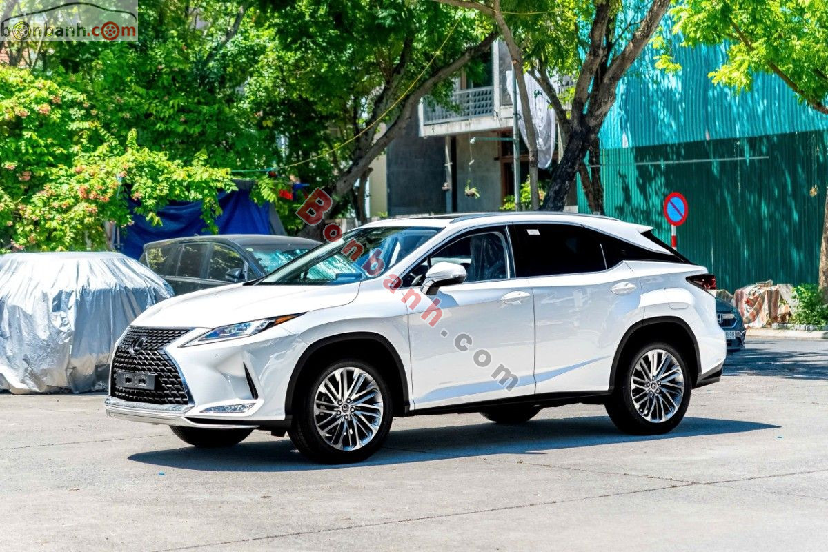 Bán ô tô Lexus RX 300 - 2020 - xe cũ