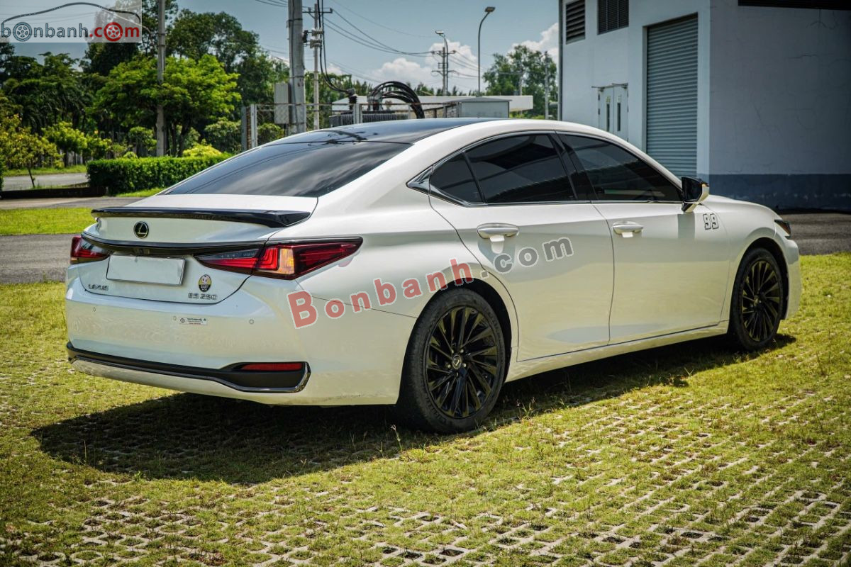 Bán ô tô Lexus ES 250 - 2019 - xe cũ