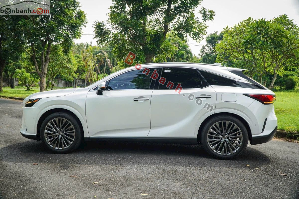 Bán ô tô Lexus RX 350 Luxury - 2023 - xe cũ