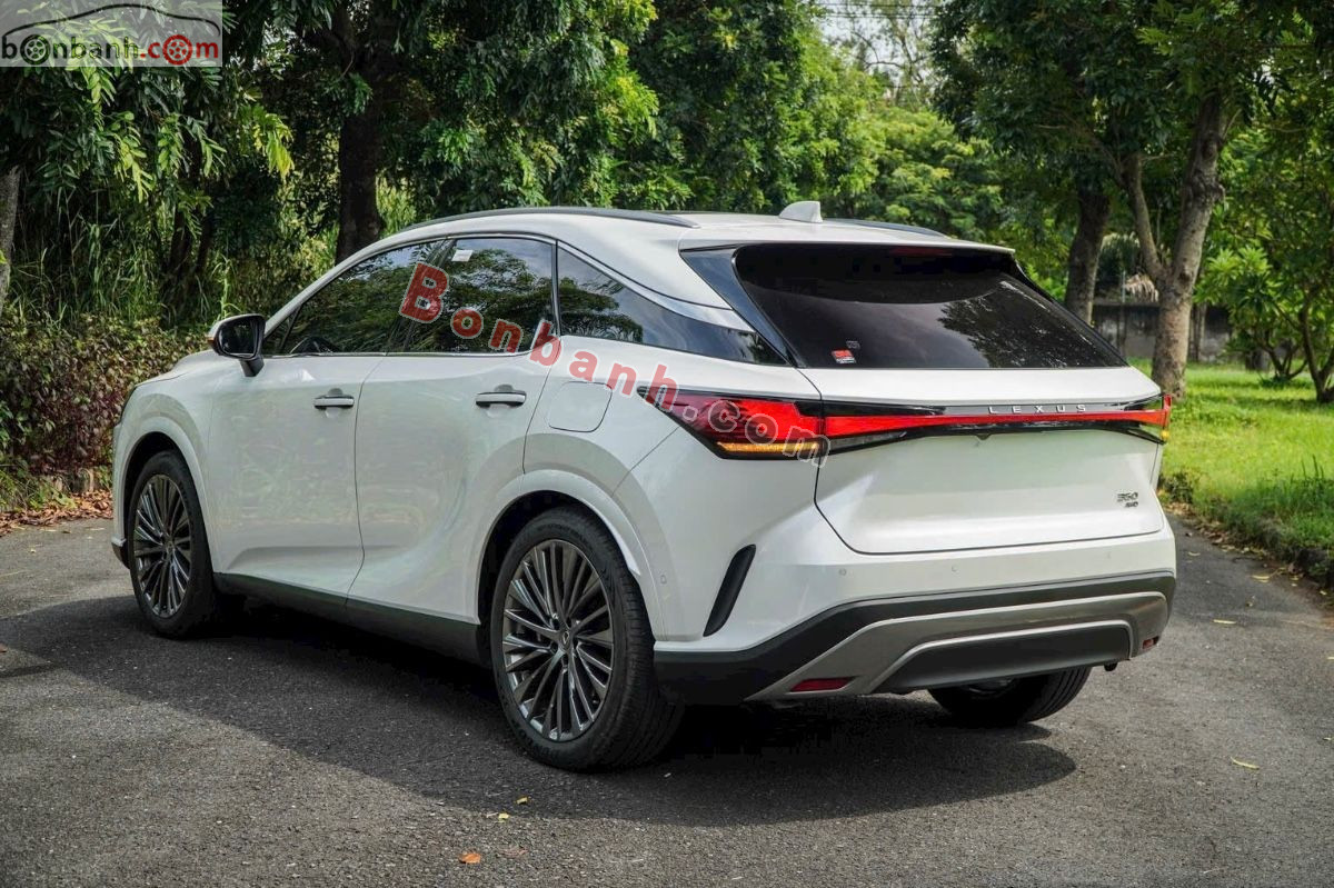 Bán ô tô Lexus RX 350 Luxury - 2023 - xe cũ