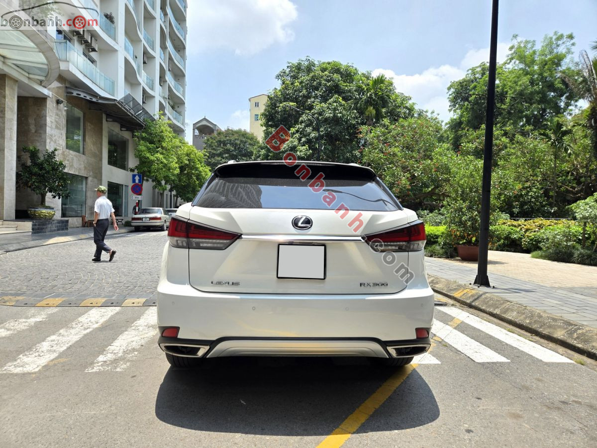 Bán ô tô Lexus RX 300 - 2020 - xe cũ