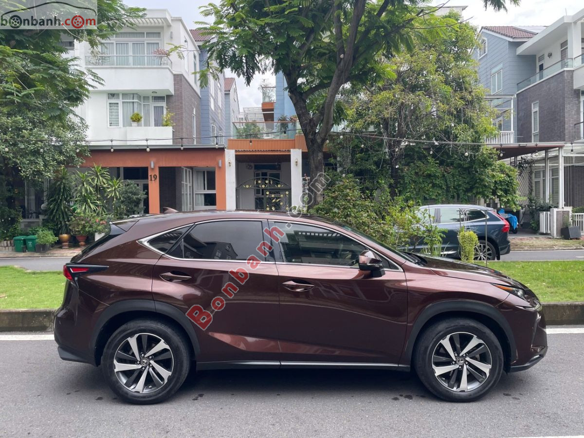 Bán ô tô Lexus NX 300 - 2018 - xe cũ