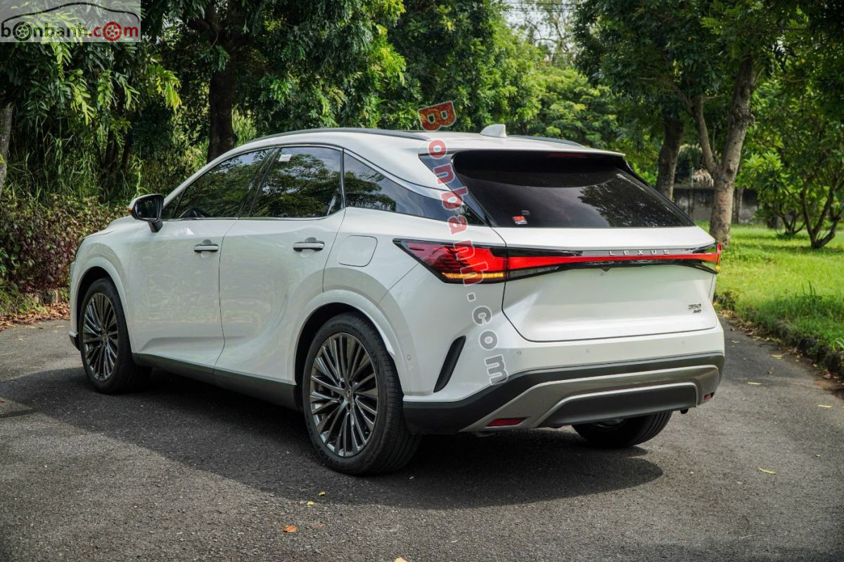 Bán ô tô Lexus RX 350 Luxury - 2023 - xe cũ