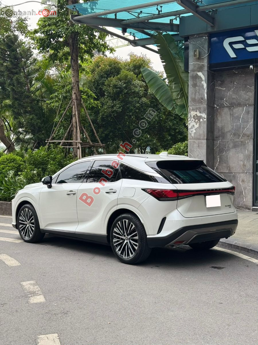 Bán ô tô Lexus RX 350 Premium - 2024 - xe cũ