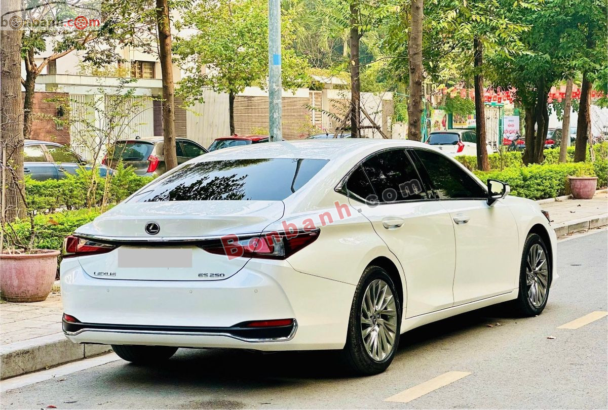 Bán ô tô Lexus ES 250 - 2023 - xe cũ