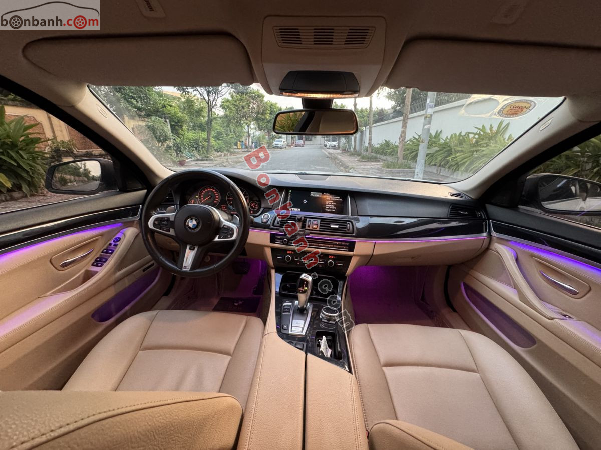 Bán ô tô BMW 5 Series 520i - 2013 - xe cũ