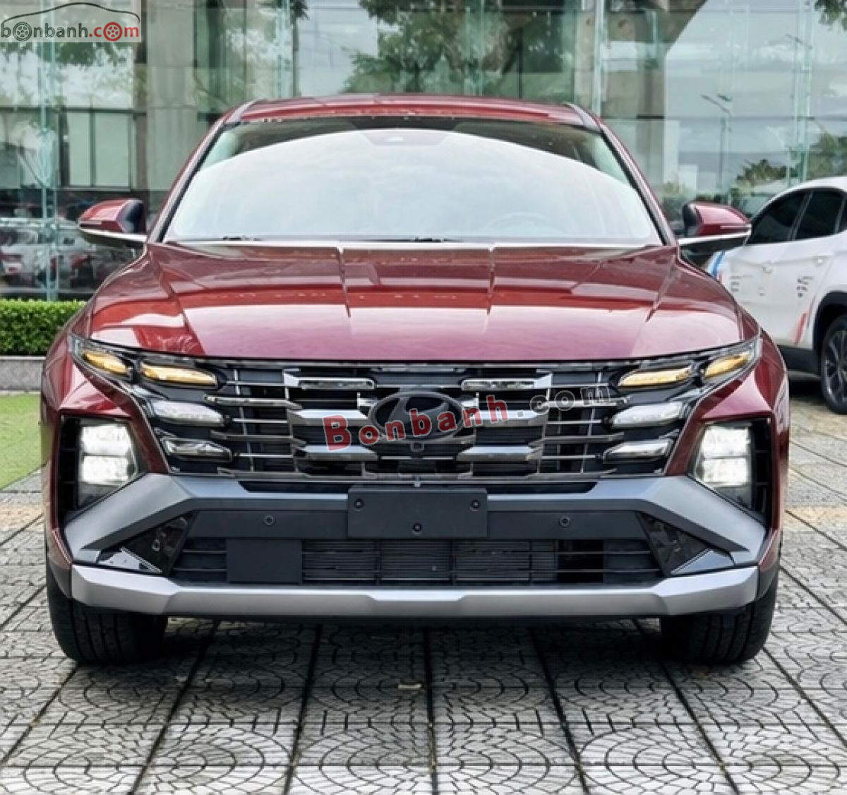 Bán ô tô Hyundai Tucson 2.0 AT Đặc biệt - 2026 - xe mới