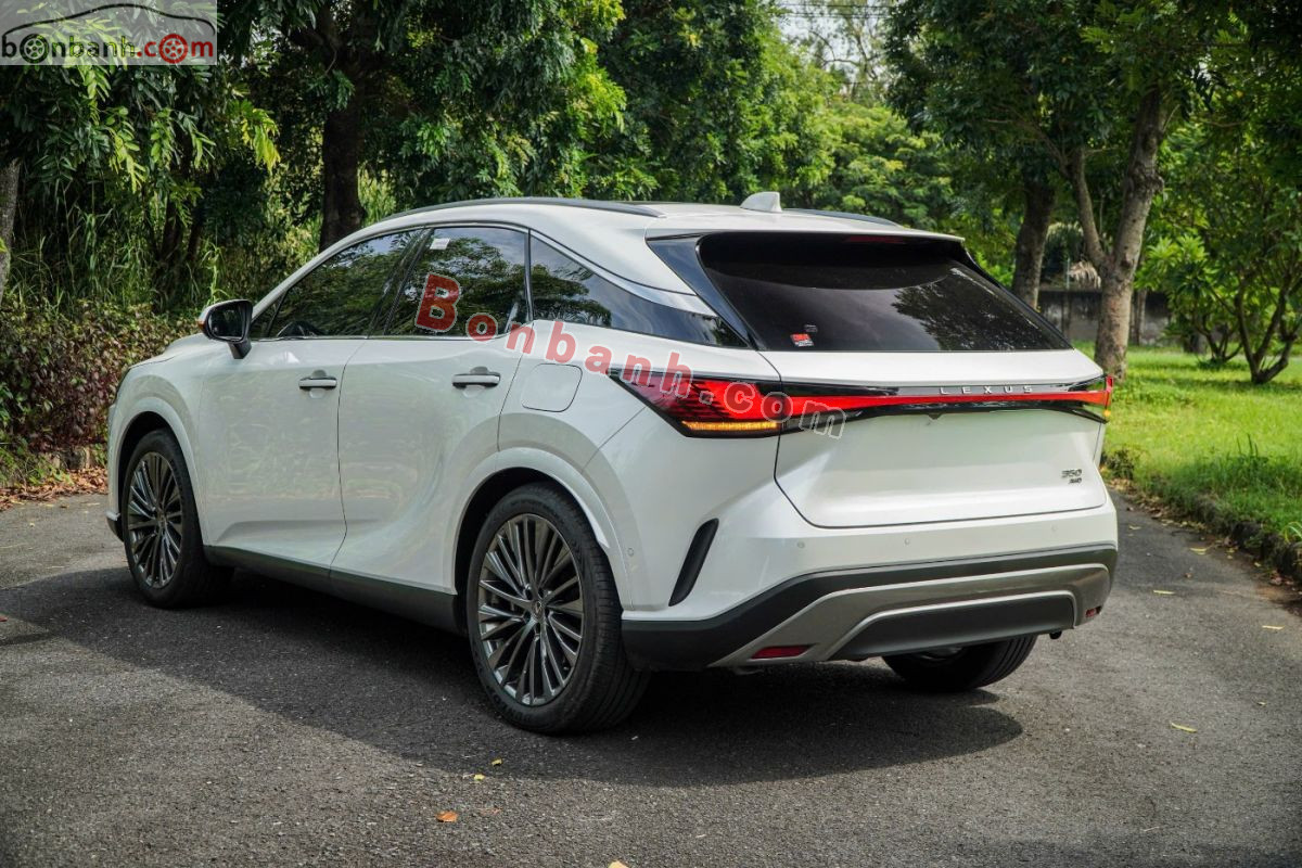 Bán ô tô Lexus RX 350 Luxury - 2023 - xe cũ