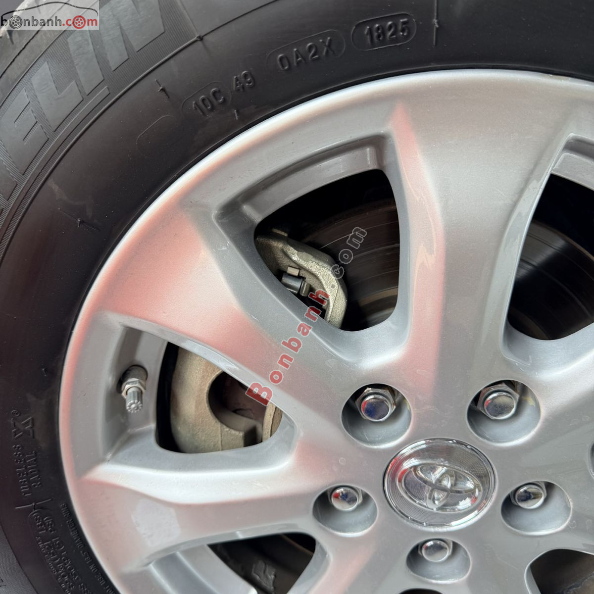 Bán ô tô Toyota Camry LE 2.5 - 2010 - xe cũ