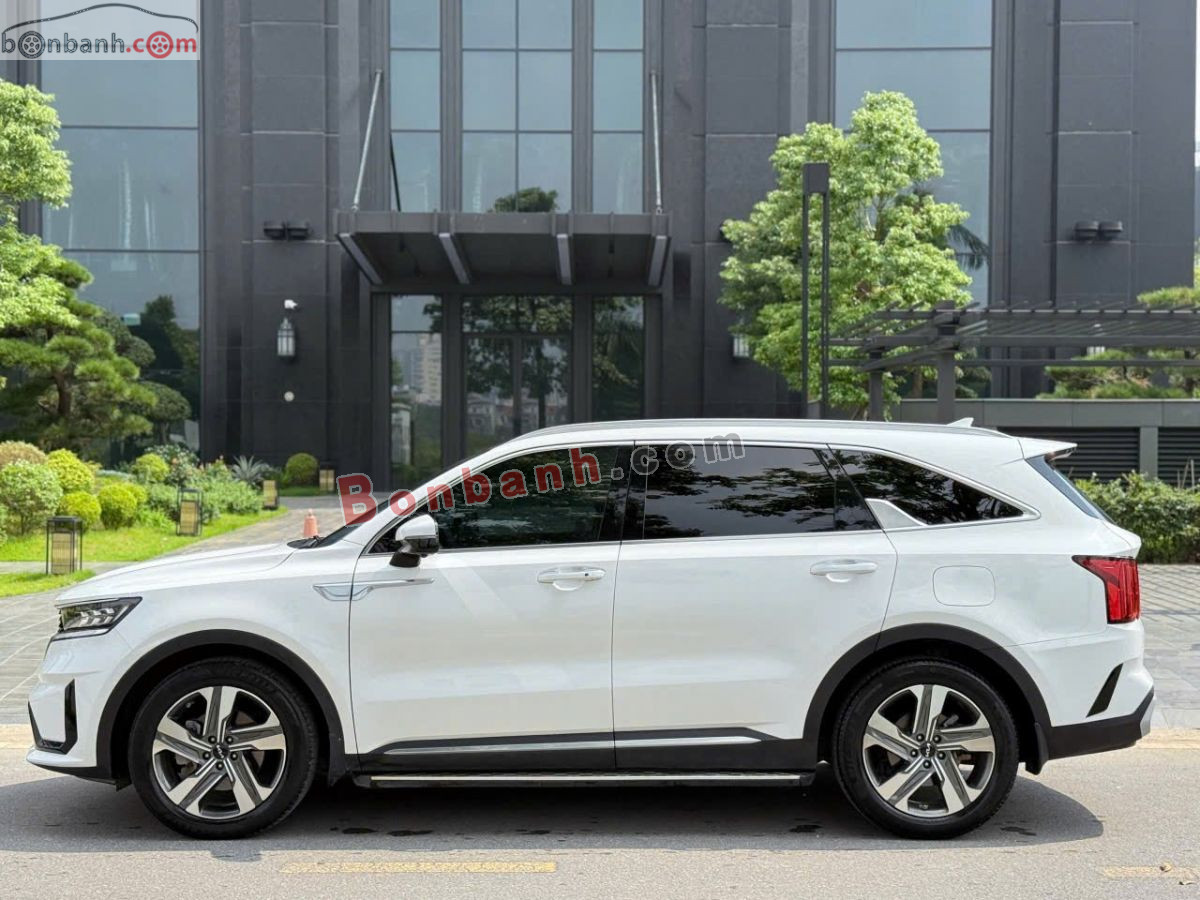 Bán ô tô Kia Sorento Signature 2.2 AT AWD - 2024 - xe cũ