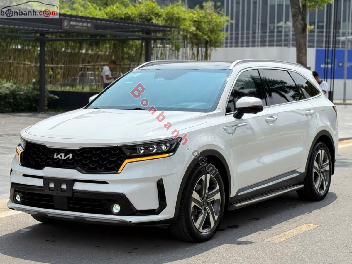 Bán ô tô Kia Sorento Signature 2.2 AT AWD - 2024 - xe cũ