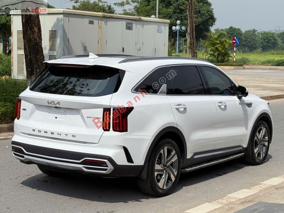 Bán ô tô Kia Sorento Signature 2.2 AT AWD - 2024 - xe cũ
