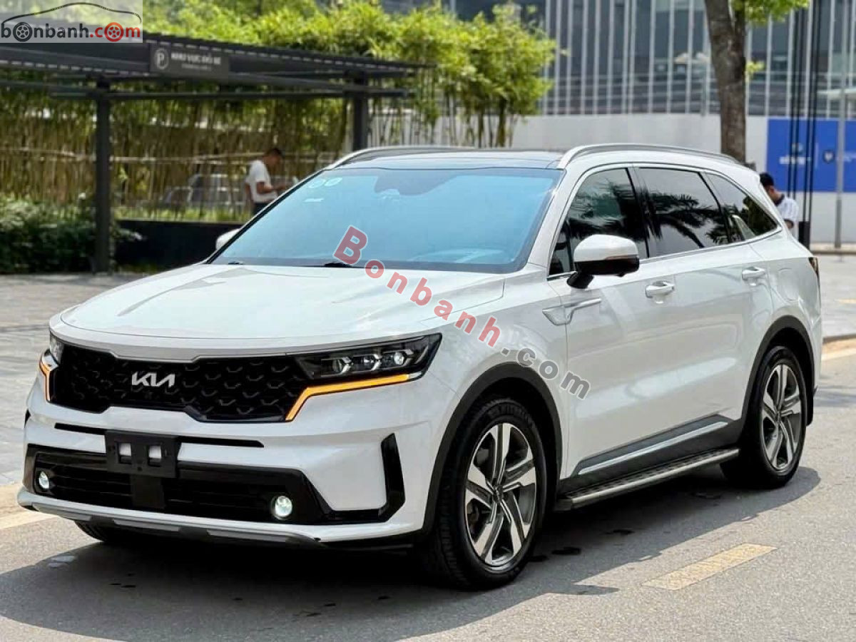 Bán ô tô Kia Sorento Signature 2.2 AT AWD - 2024 - xe cũ