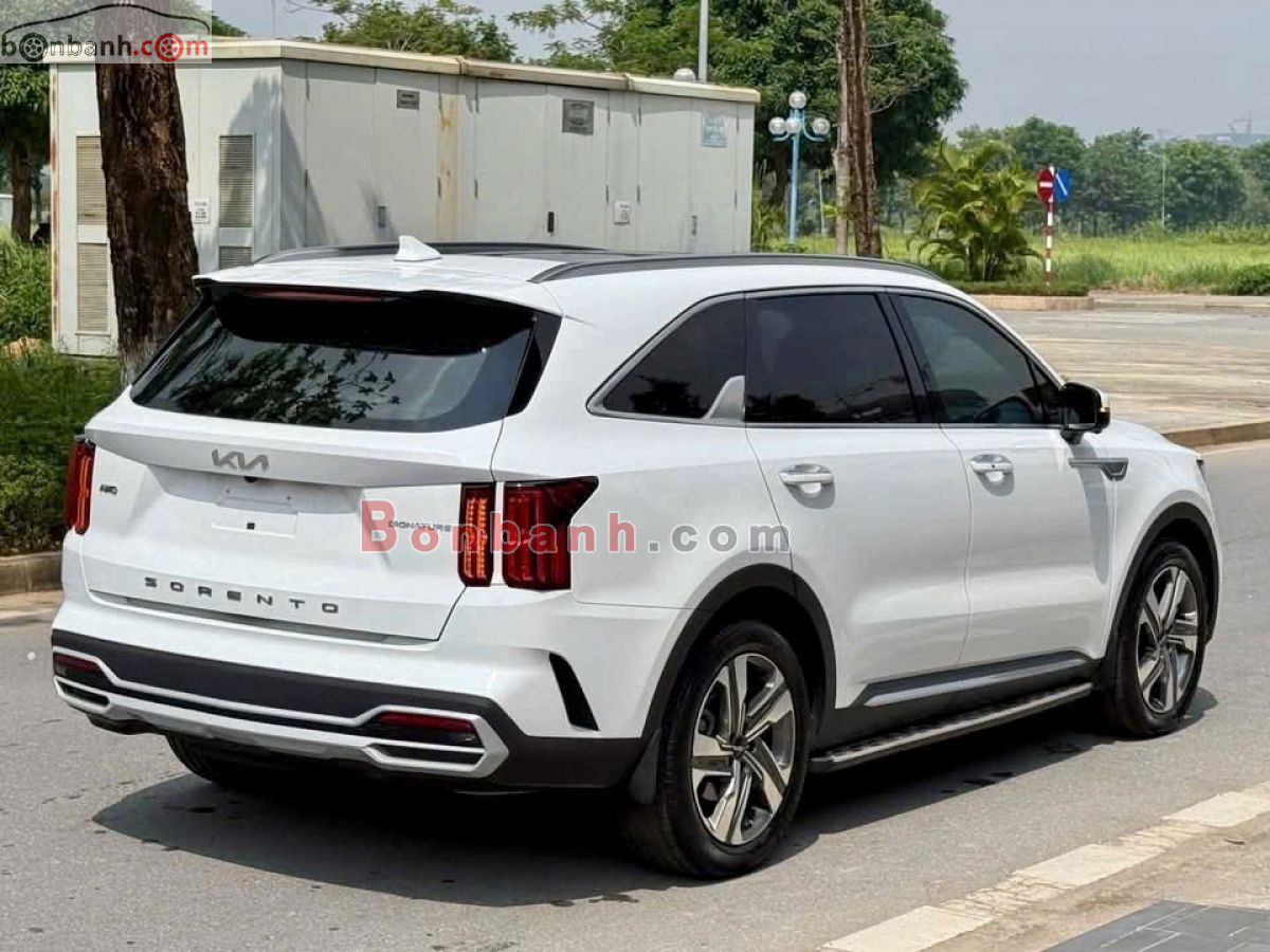 Bán ô tô Kia Sorento Signature 2.2 AT AWD - 2024 - xe cũ
