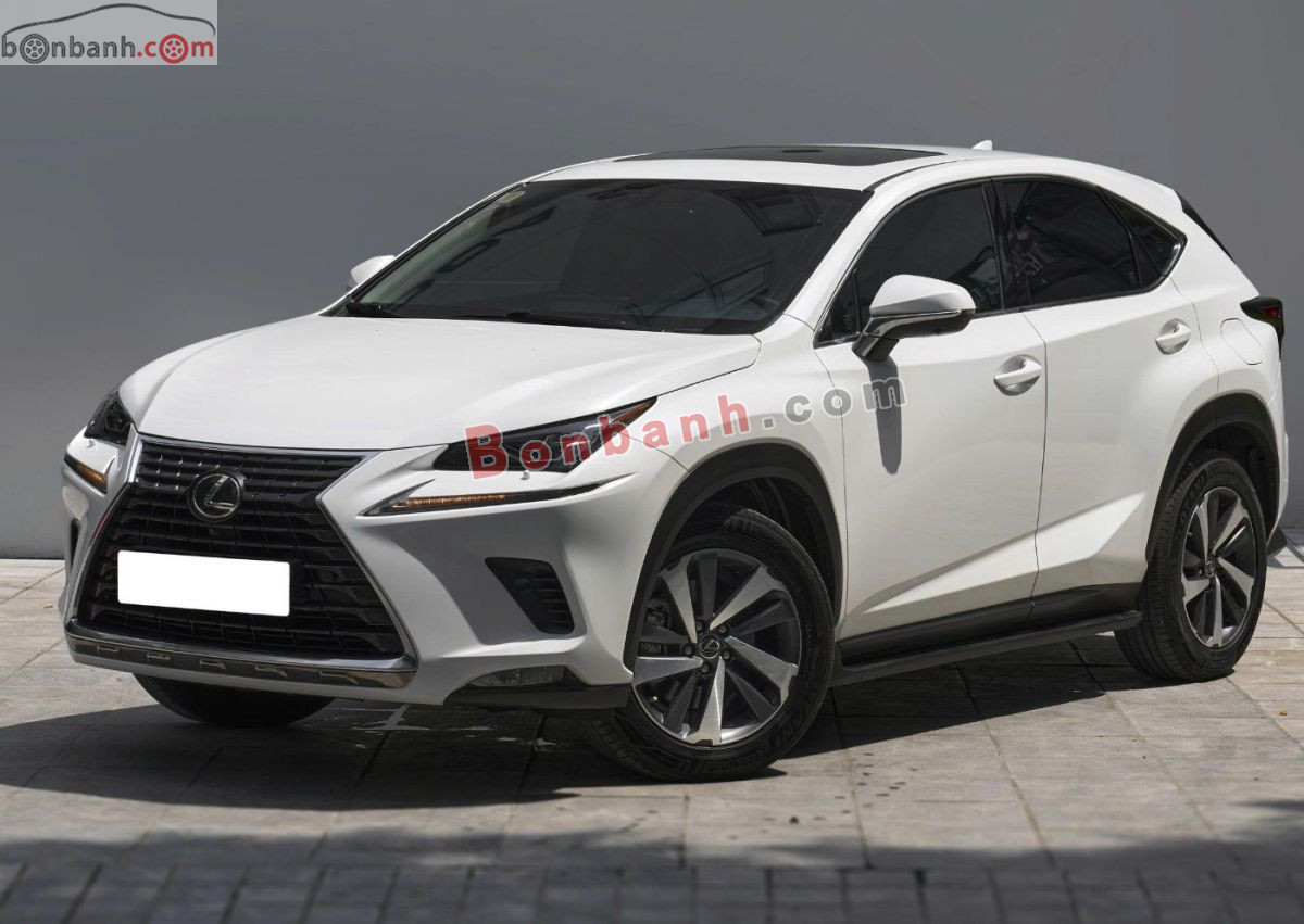 Bán ô tô Lexus NX 300 - 2019 - xe cũ