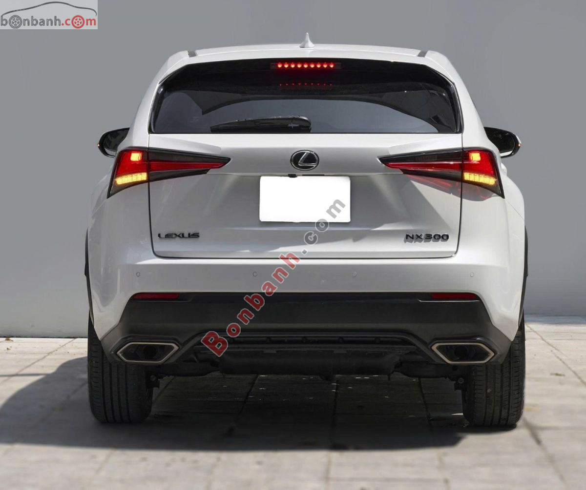 Bán ô tô Lexus NX 300 - 2019 - xe cũ