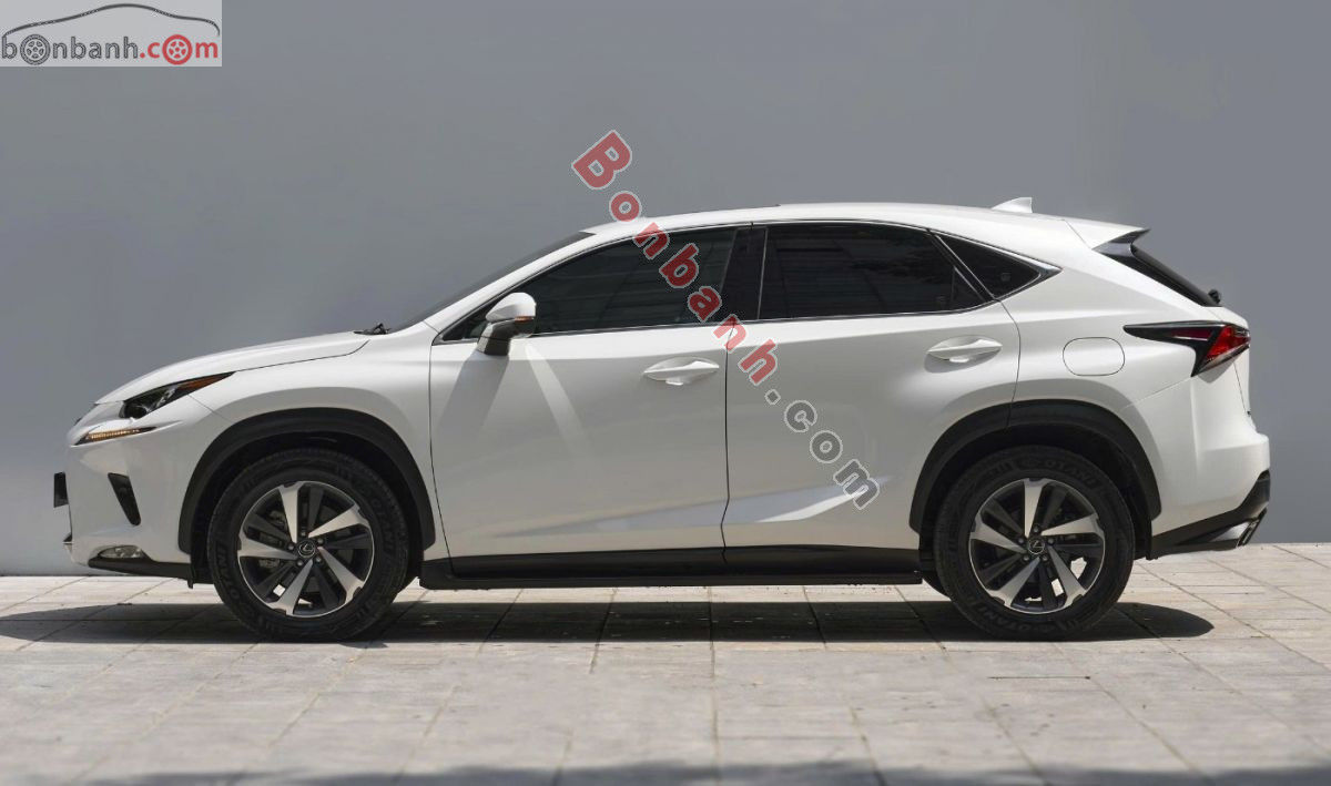 Bán ô tô Lexus NX 300 - 2019 - xe cũ