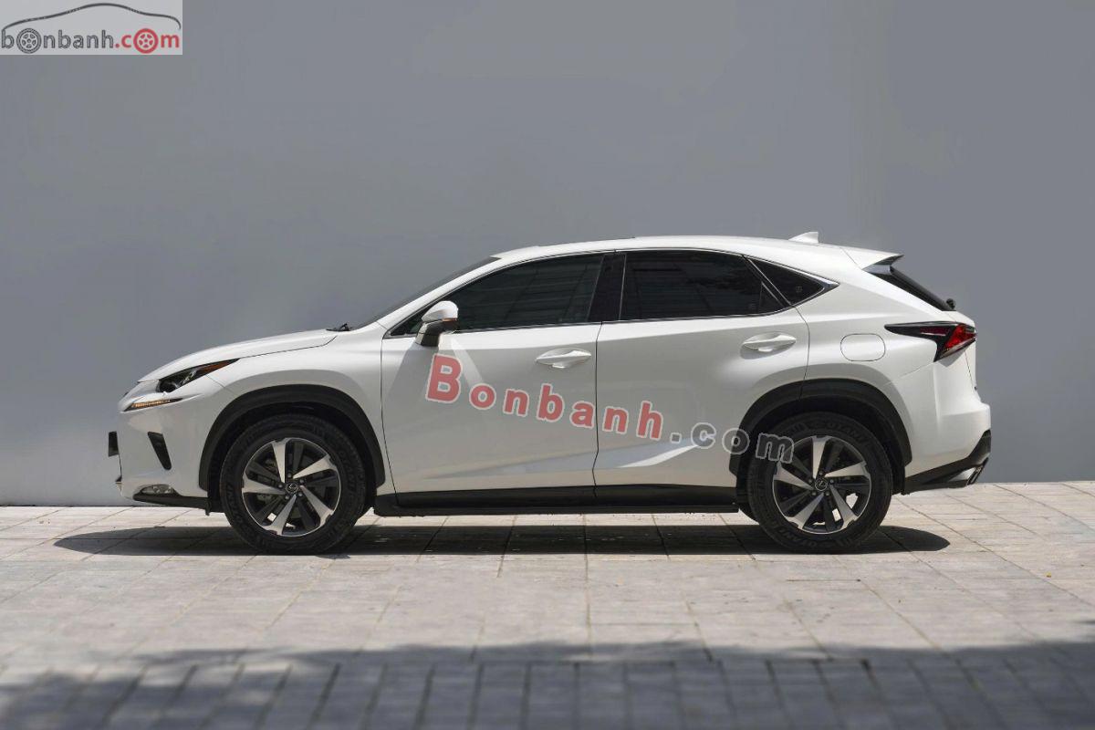 Bán ô tô Lexus NX 300 - 2019 - xe cũ