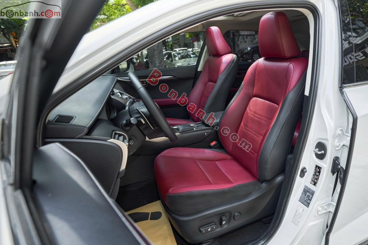 Bán ô tô Lexus NX 300 - 2019 - xe cũ