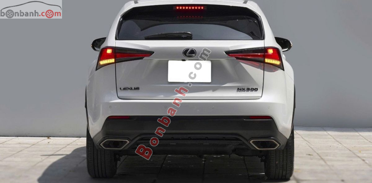 Bán ô tô Lexus NX 300 - 2018 - xe cũ