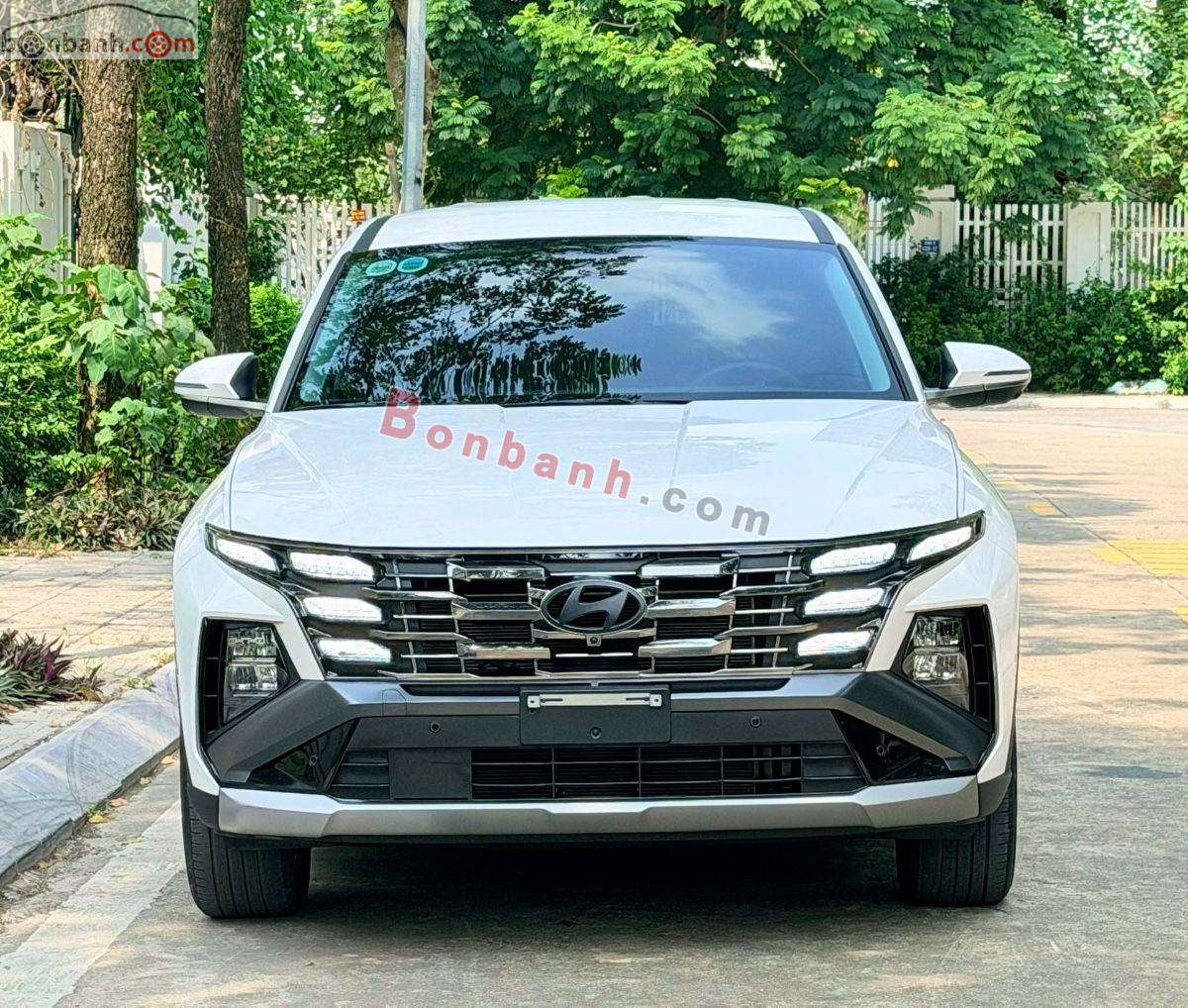 Bán ô tô Hyundai Tucson 2.0 AT Đặc biệt - 2024 - xe cũ