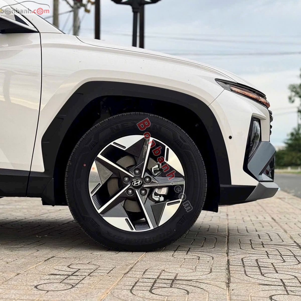 Bán ô tô Hyundai Tucson 2.0 AT Đặc biệt - 2026 - xe mới