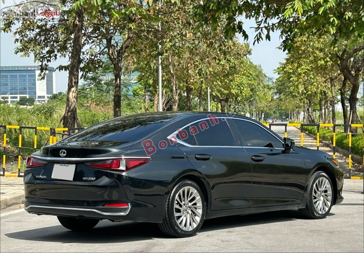 Bán ô tô Lexus ES 250 - 2023 - xe cũ