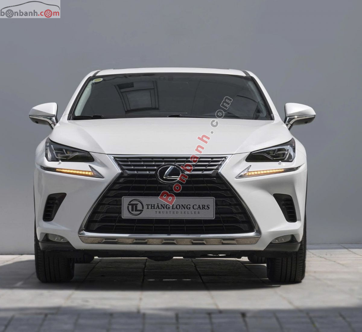 Bán ô tô Lexus NX 300 - 2019 - xe cũ