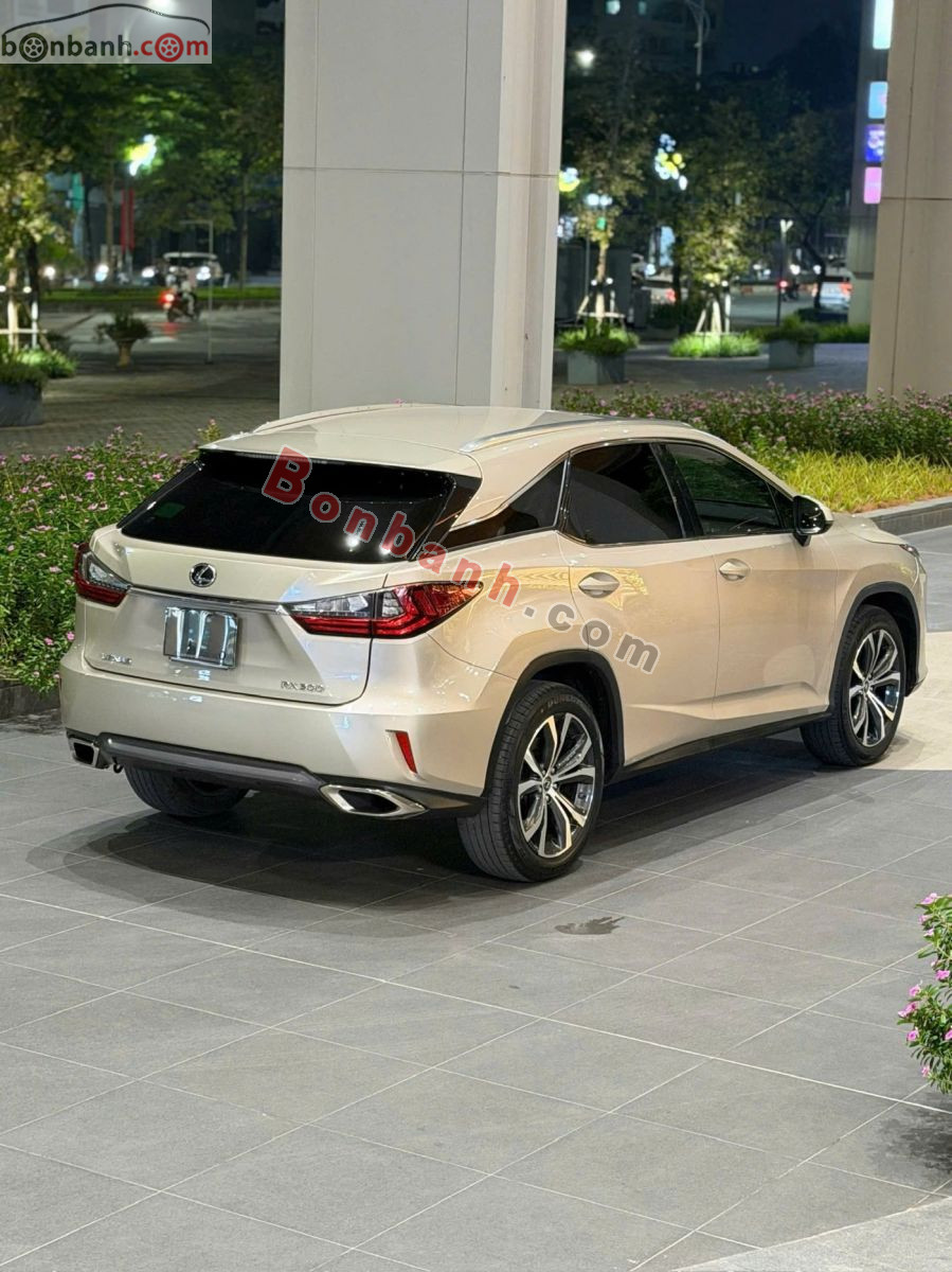Bán ô tô Lexus RX 300 - 2019 - xe cũ